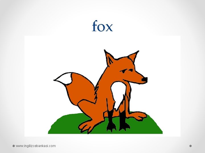 fox www. ingilizcebankasi. com 