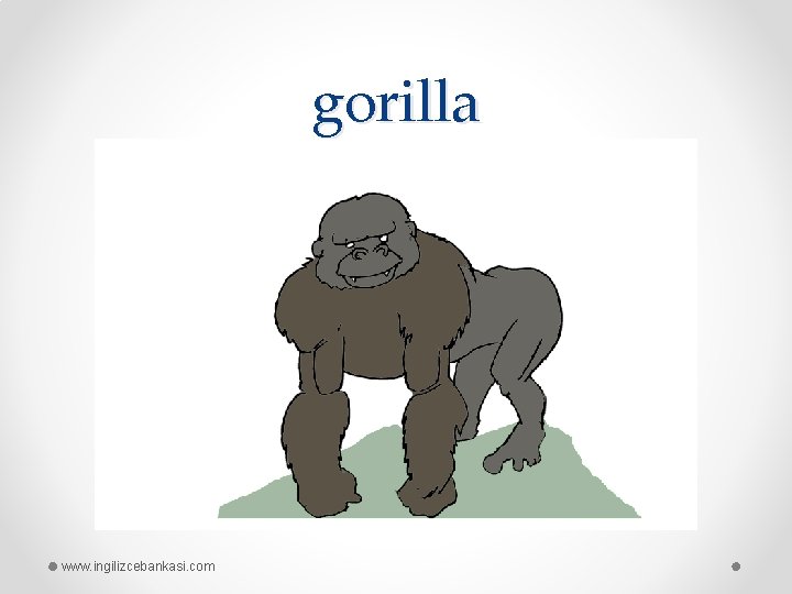 gorilla www. ingilizcebankasi. com 