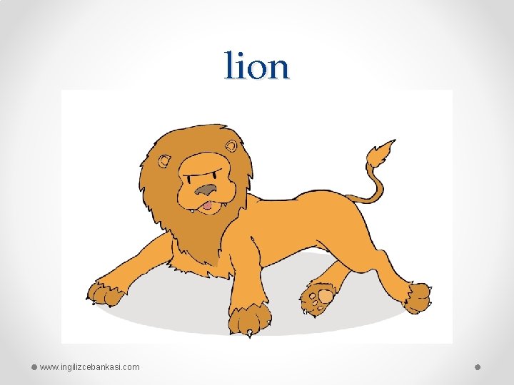 lion www. ingilizcebankasi. com 