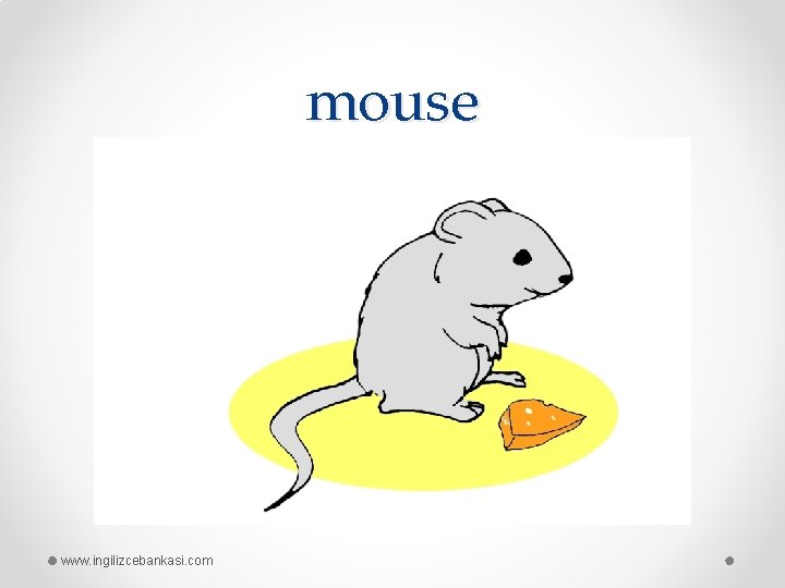 mouse www. ingilizcebankasi. com 