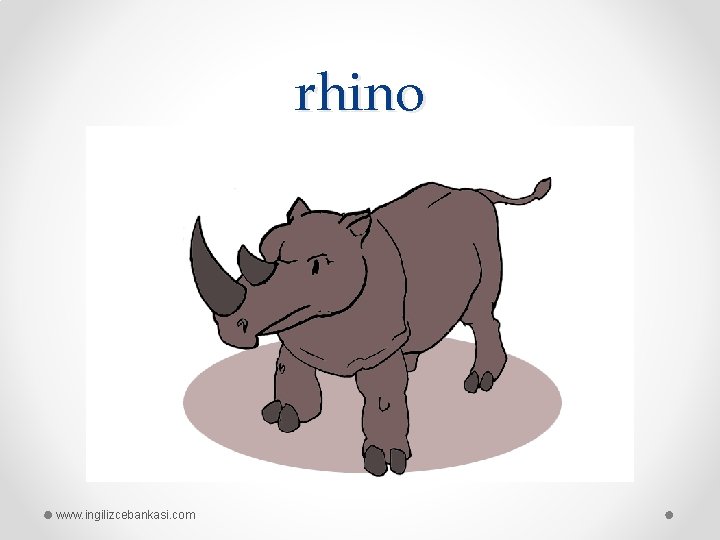 rhino www. ingilizcebankasi. com 