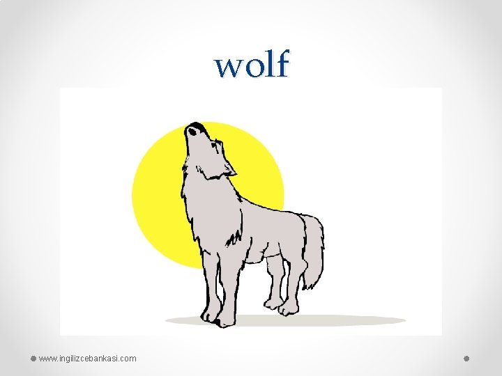 wolf www. ingilizcebankasi. com 