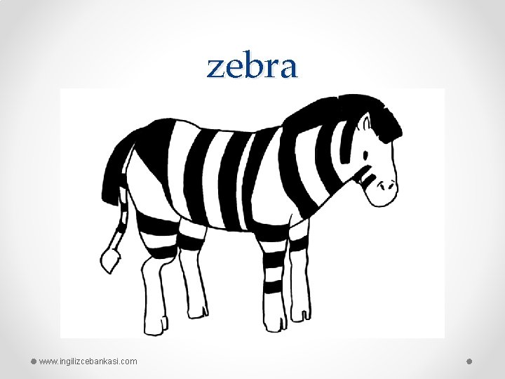 zebra www. ingilizcebankasi. com 