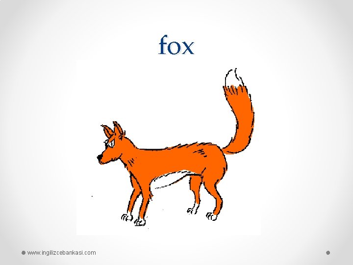 fox www. ingilizcebankasi. com 