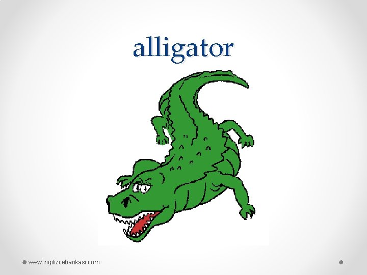 alligator www. ingilizcebankasi. com 