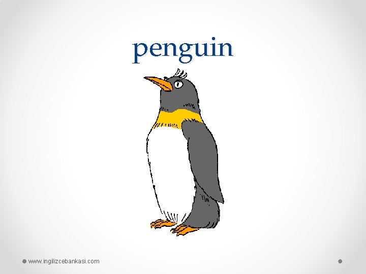 penguin www. ingilizcebankasi. com 