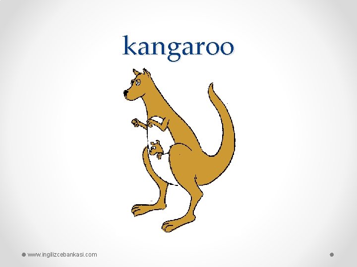 kangaroo www. ingilizcebankasi. com 