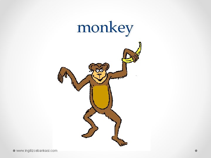 monkey www. ingilizcebankasi. com 