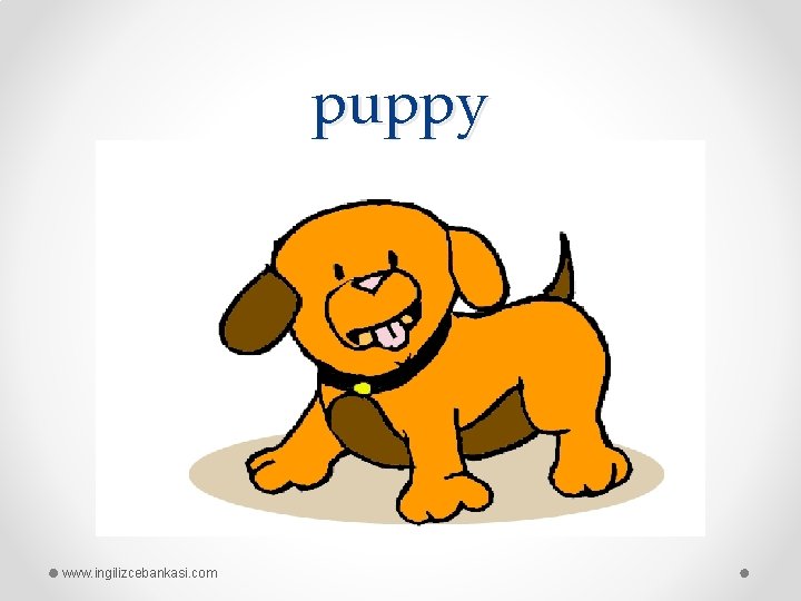 puppy www. ingilizcebankasi. com 