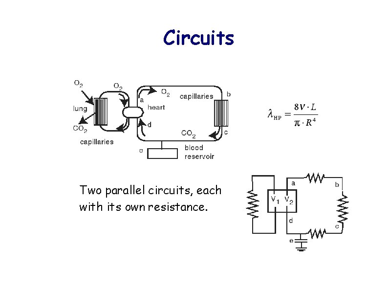 Circuits Two parallel circuits, each with its own resistance. 