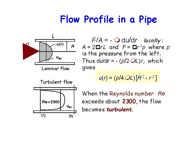 Flow Profile in a Pipe L p Laminar flow Turbulent flow F/A = -