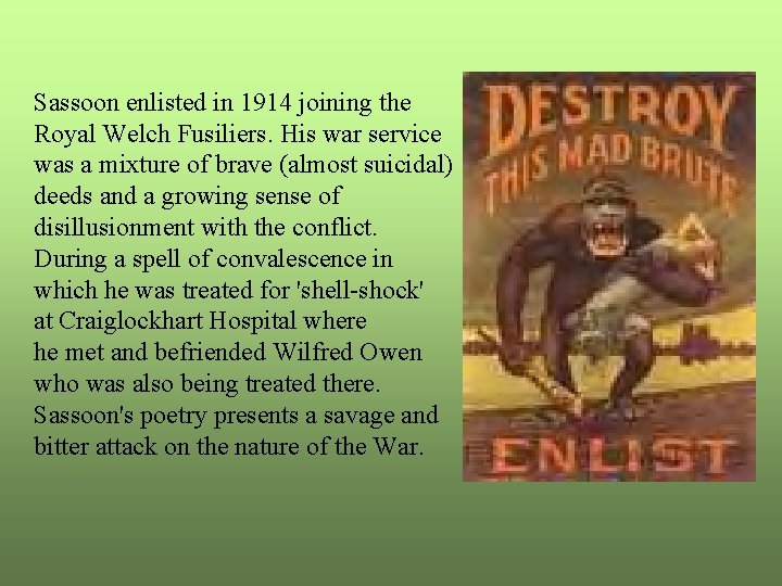 Sassoon enlisted in 1914 joining the Royal Welch Fusiliers. His war service was a