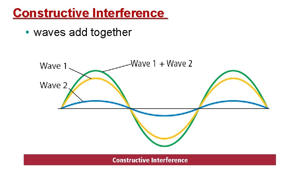 Constructive Interference • waves add together 