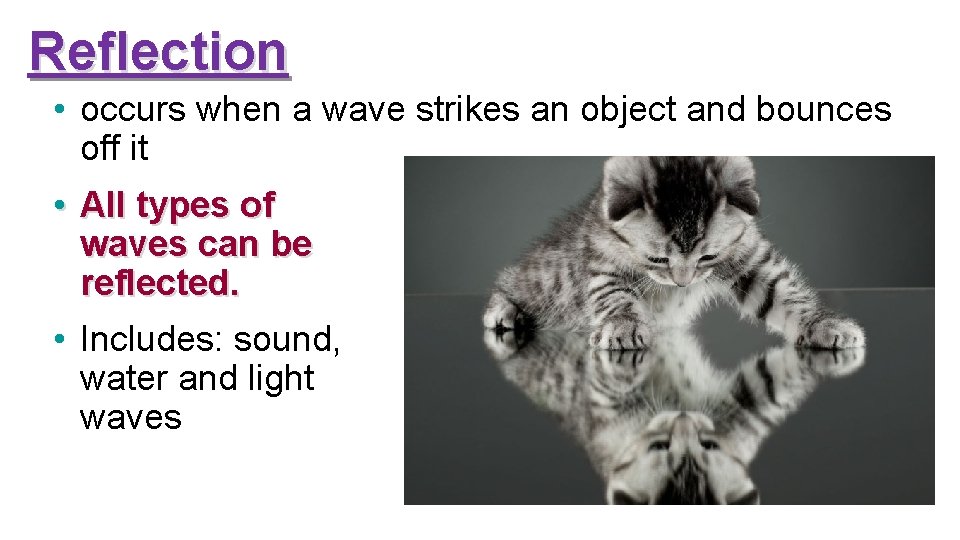 Reflection • occurs when a wave strikes an object and bounces off it •