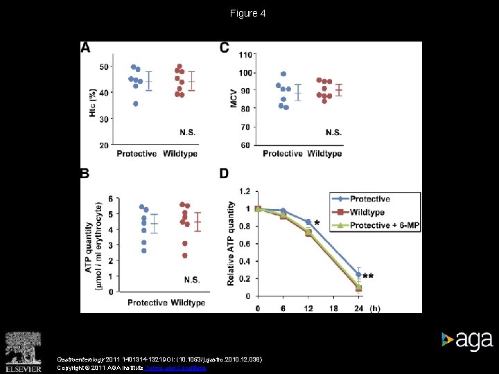 Figure 4 Gastroenterology 2011 1401314 -1321 DOI: (10. 1053/j. gastro. 2010. 12. 038) Copyright