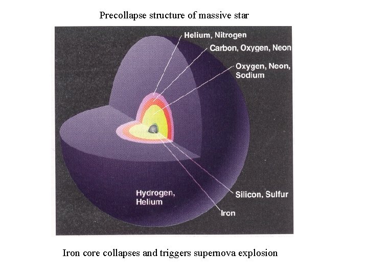 Precollapse structure of massive star Iron core collapses and triggers supernova explosion 
