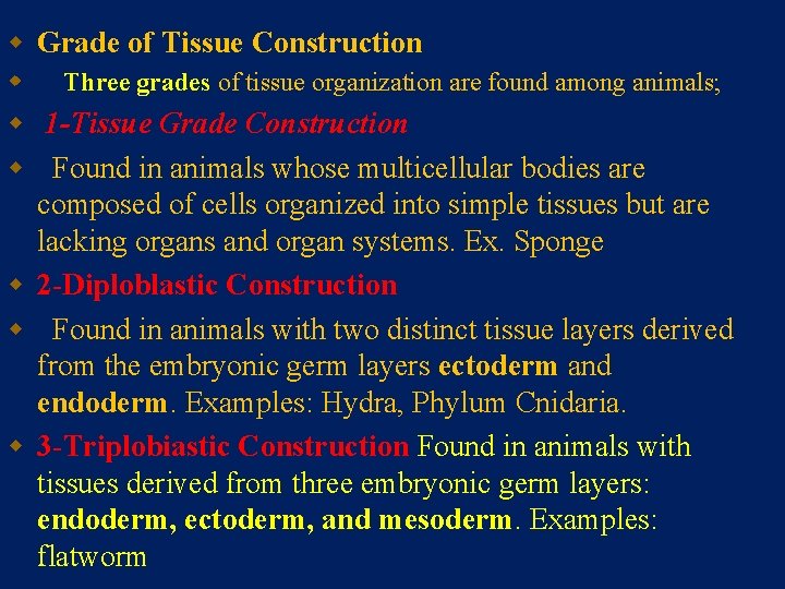 w Grade of Tissue Construction w Three grades of tissue organization are found among