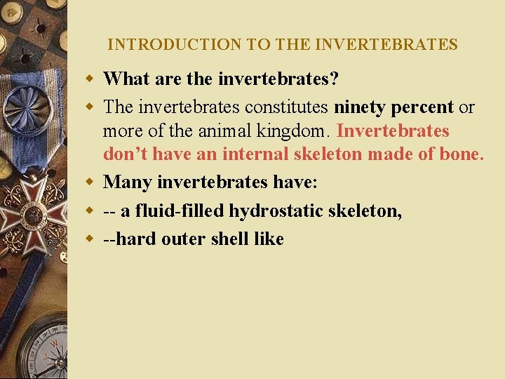 INTRODUCTION TO THE INVERTEBRATES w What are the invertebrates? w The invertebrates constitutes ninety