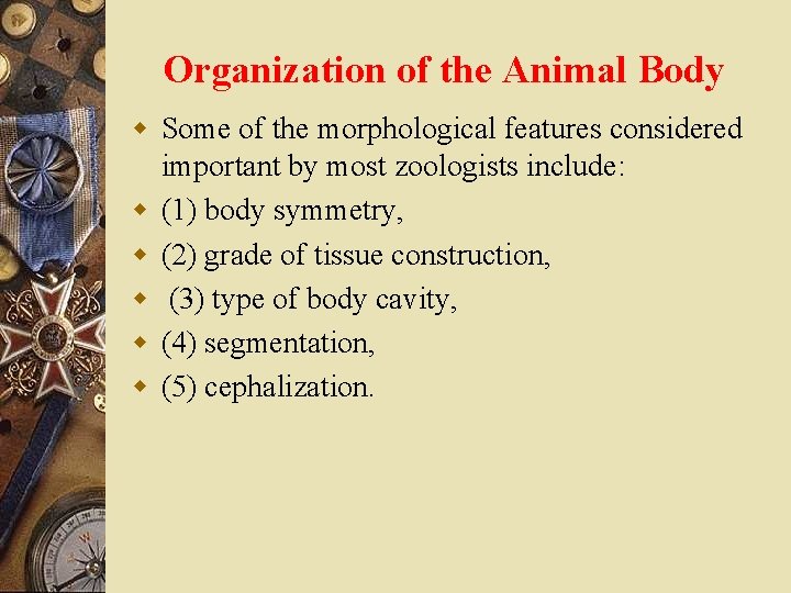 Organization of the Animal Body w Some of the morphological features considered important by