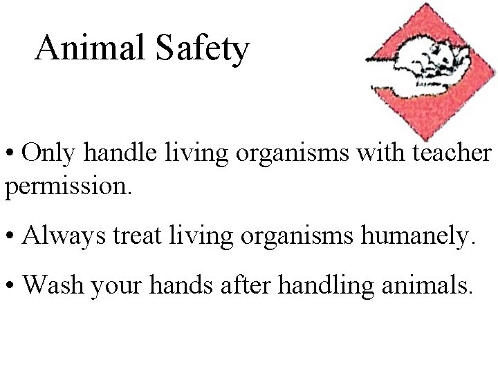 Animal Safety • Only handle living organisms with teacher permission. • Always treat living