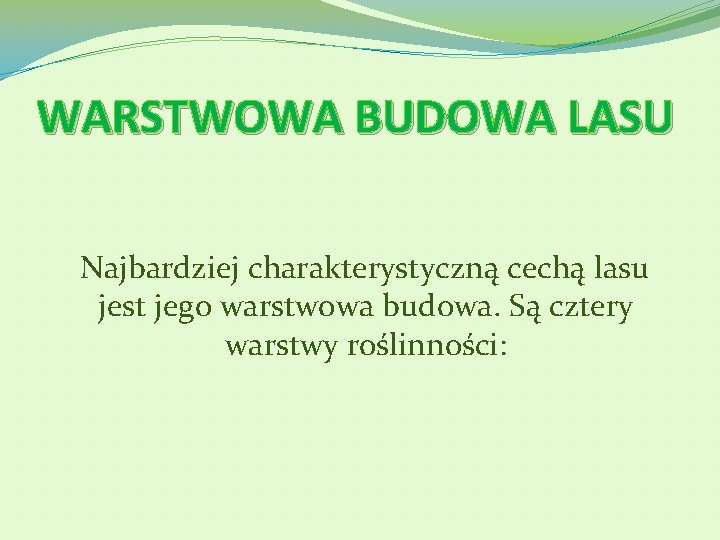 WARSTWOWA BUDOWA LASU Najbardziej charakterystyczną cechą lasu jest jego warstwowa budowa. Są cztery warstwy