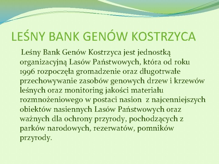 LEŚNY BANK GENÓW KOSTRZYCA Leśny Bank Genów Kostrzyca jest jednostką organizacyjną Lasów Państwowych, która