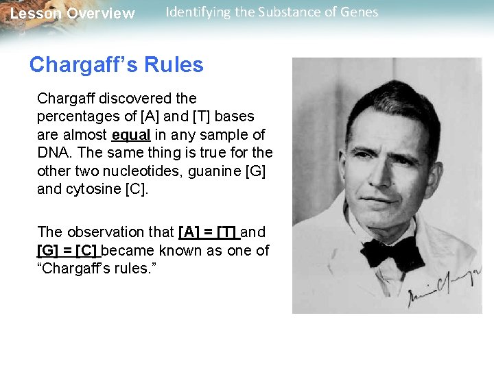 Lesson Overview Identifying the Substance of Genes Chargaff’s Rules Chargaff discovered the percentages of