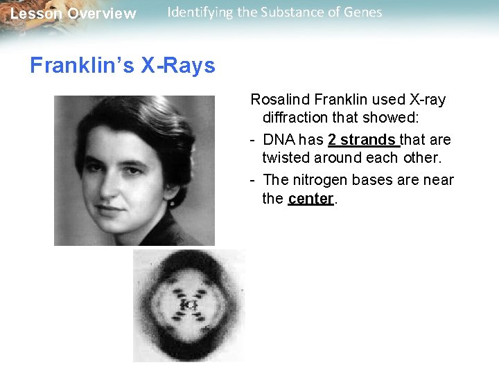 Lesson Overview Identifying the Substance of Genes Franklin’s X-Rays Rosalind Franklin used X-ray diffraction