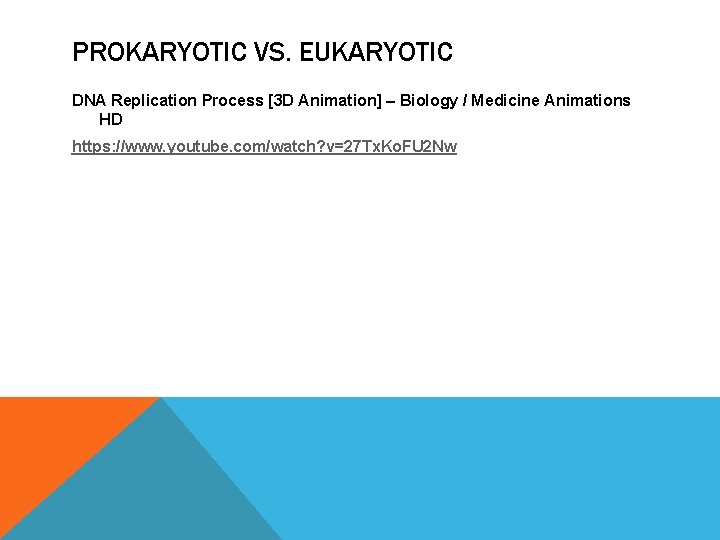 PROKARYOTIC VS. EUKARYOTIC DNA Replication Process [3 D Animation] – Biology / Medicine Animations