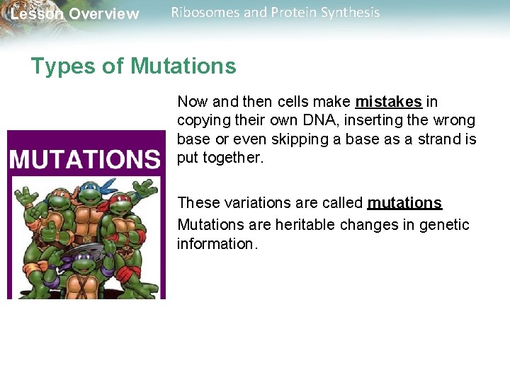 Lesson Overview Ribosomes and Protein Synthesis Types of Mutations Now and then cells make