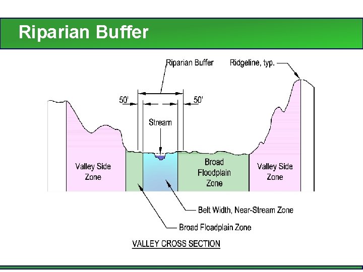Heading for Text Riparian Buffer Over a Photo 