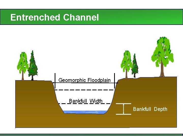 Entrenched Channel Geomorphic Floodplain Bankfull Width Bankfull Depth 