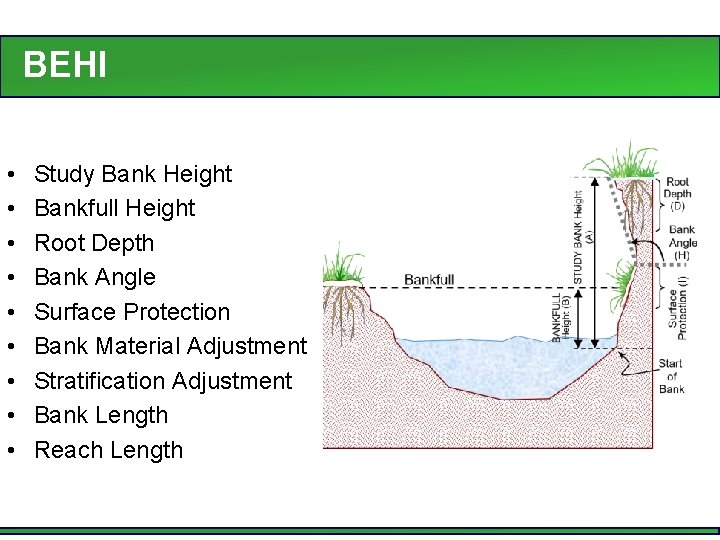BEHI • • • Study Bank Height Bankfull Height Root Depth Bank Angle Surface