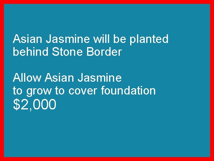 Asian Jasmine will be planted behind Stone Border Allow Asian Jasmine to grow to