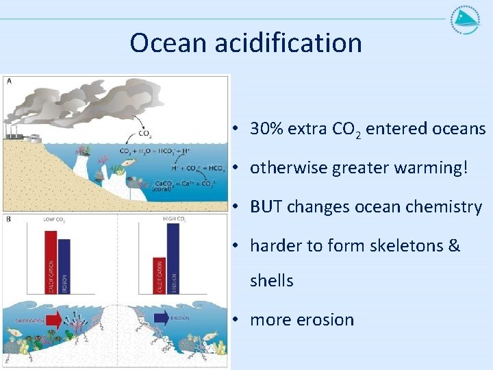 Ocean acidification • 30% extra CO 2 entered oceans • otherwise greater warming! •