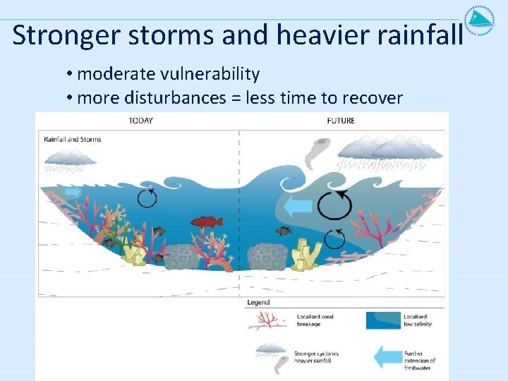 Stronger storms and heavier rainfall • moderate vulnerability • more disturbances = less time