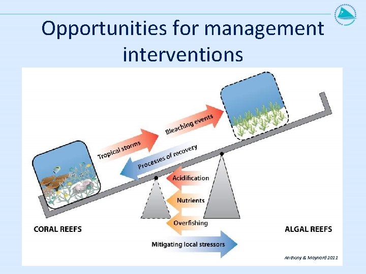 Opportunities for management interventions Anthony & Maynard 2011 