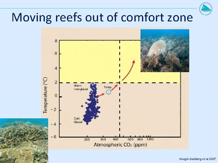 Moving reefs out of comfort zone Hoegh-Guldberg et al 2007 