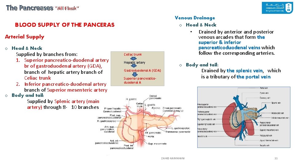 The Pancreases “All Flesh” Venous Drainage o Head & Neck BLOOD SUPPLY OF THE