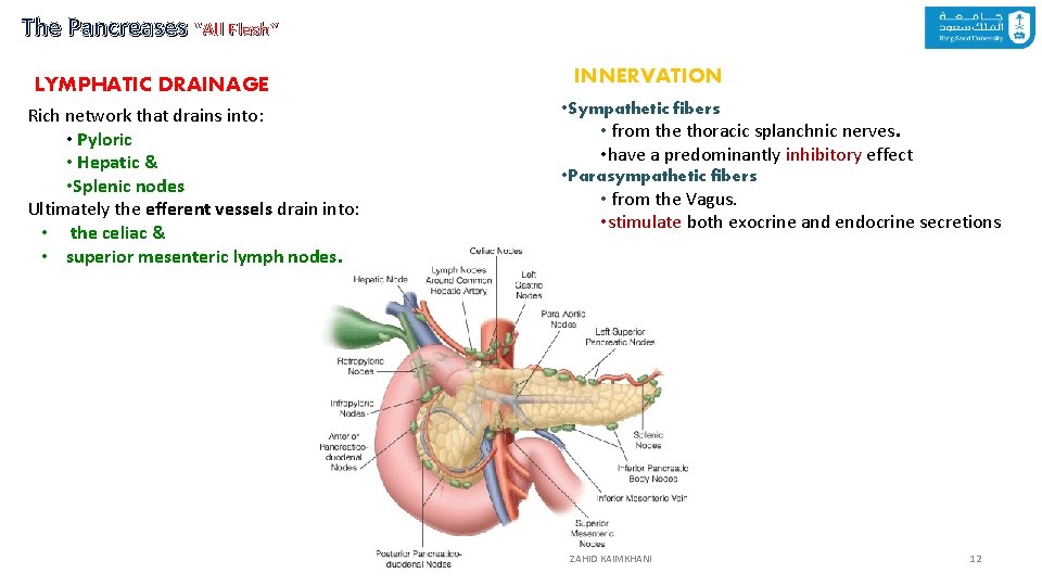 The Pancreases “All Flesh” LYMPHATIC DRAINAGE Rich network that drains into: • Pyloric •