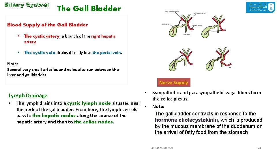 Biliary System The Gall Bladder Blood Supply of the Gall Bladder • The cystic