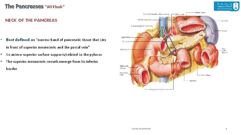 The Pancreases “All Flesh” NECK OF THE PANCREAS • Best defined as “narrow band