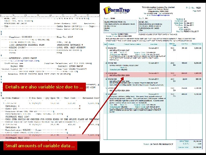 Details are also variable size due to … Small amounts of variable data …