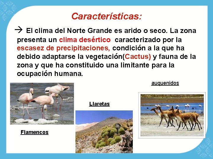 Características: El clima del Norte Grande es arido o seco. La zona presenta un