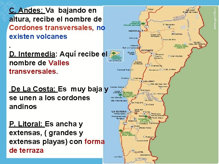 C. Andes: Va bajando en altura, recibe el nombre de Cordones transversales, no existen