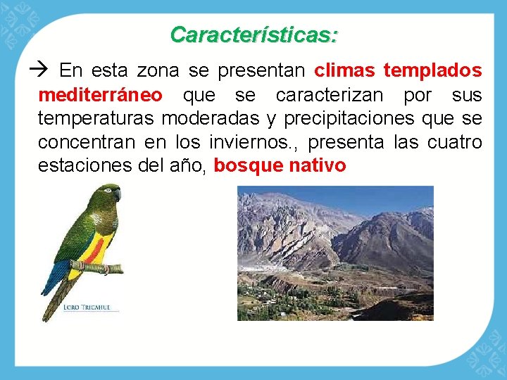 Características: En esta zona se presentan climas templados mediterráneo que se caracterizan por sus