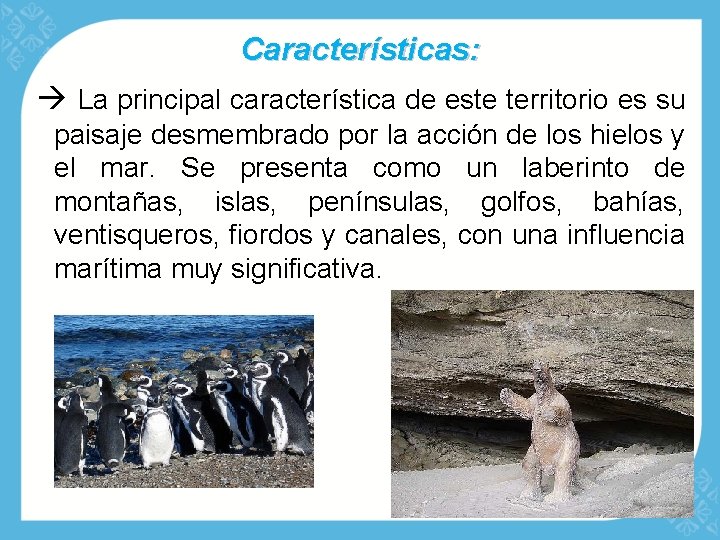 Características: La principal característica de este territorio es su paisaje desmembrado por la acción