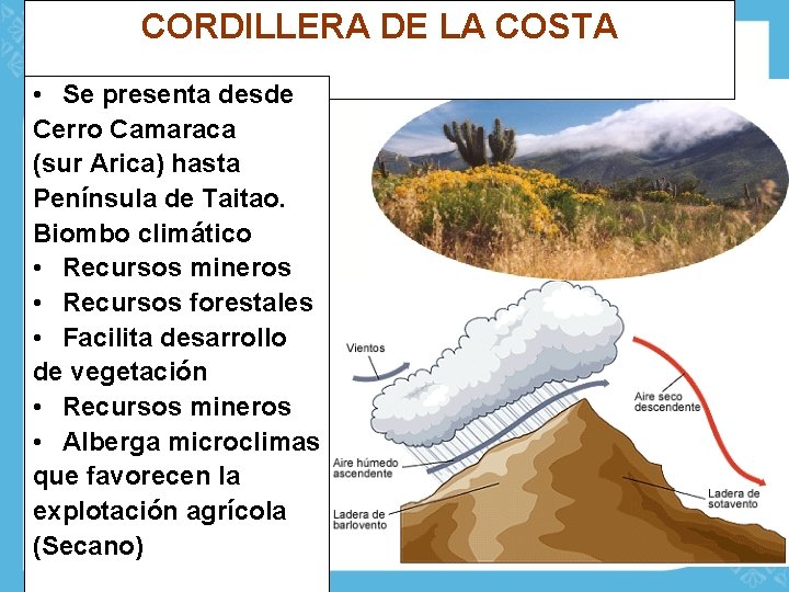 CORDILLERA DE LA COSTA • Se presenta desde Cerro Camaraca (sur Arica) hasta Península
