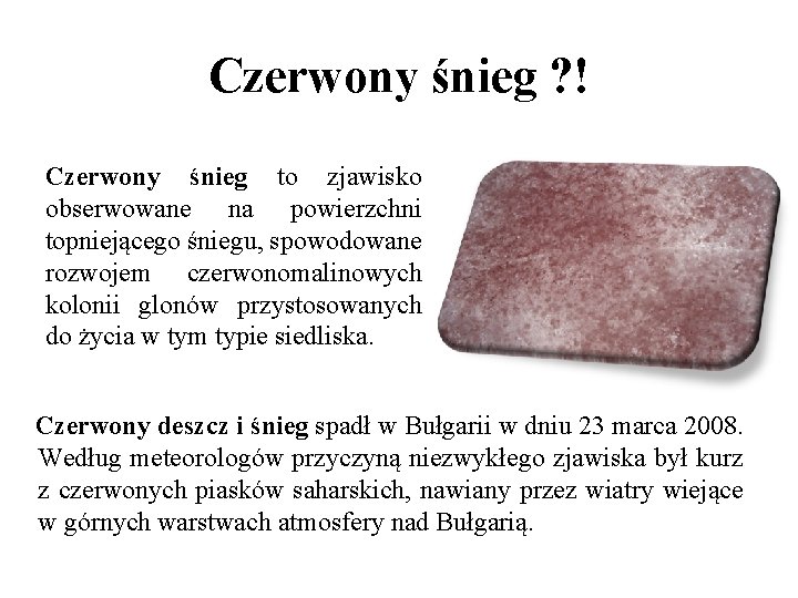 Czerwony śnieg ? ! Czerwony śnieg to zjawisko obserwowane na powierzchni topniejącego śniegu, spowodowane