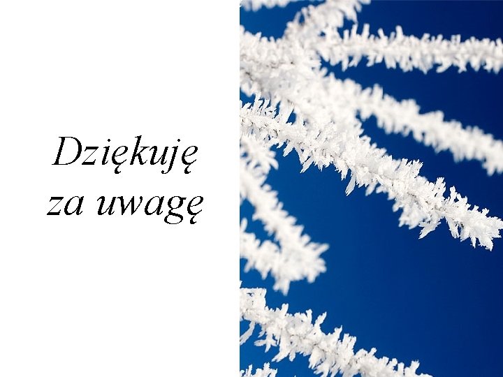 Dziękuję za uwagę 